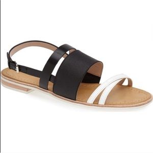 😎Two Tone Strappy Gladiator Slingback Sandal